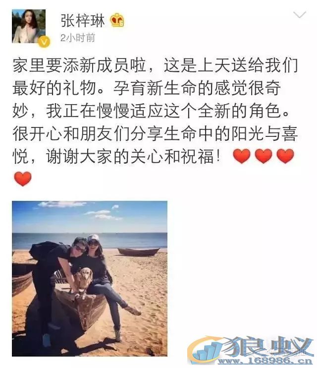 段子手治不了不婚不孕不育